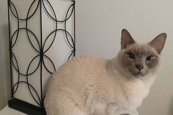 Boise, Idaho, United States