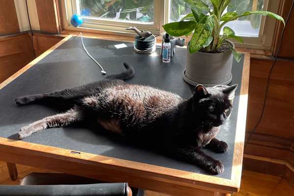 San Francisco, California, United States