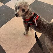 Annerley, Queensland, Australia