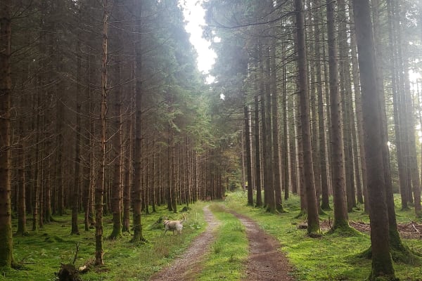 Munich, Bavaria, Germany