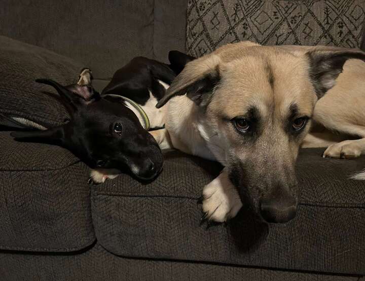 Graham, North Carolina, United States