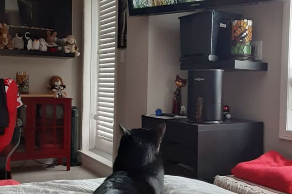 Calgary, Alberta, Canada