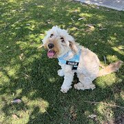 Alkimos, Western Australia, Australia