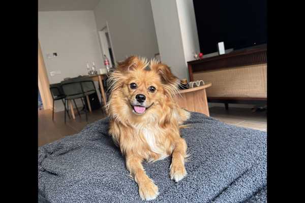 Madrid, Madrid, Spain