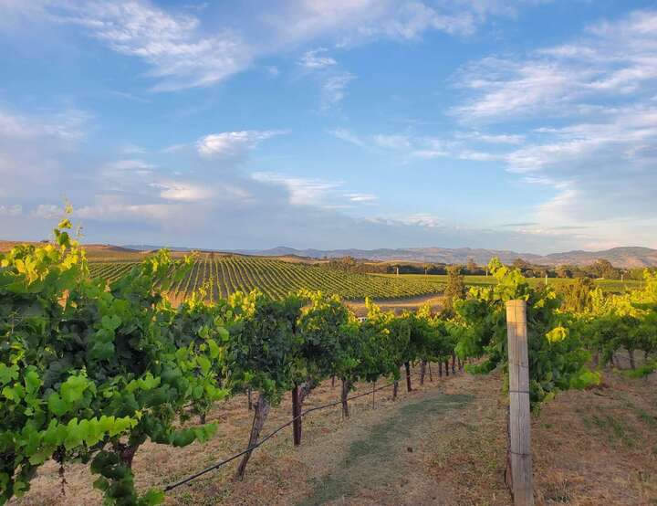 Sonoma, California, United States