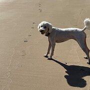 South Arm, Tasmania, Australia