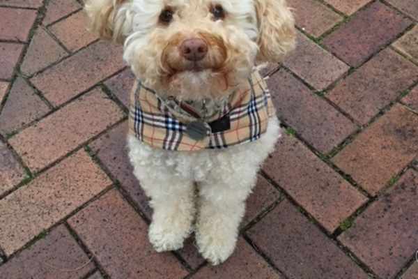 Sydney, New South Wales, Australia