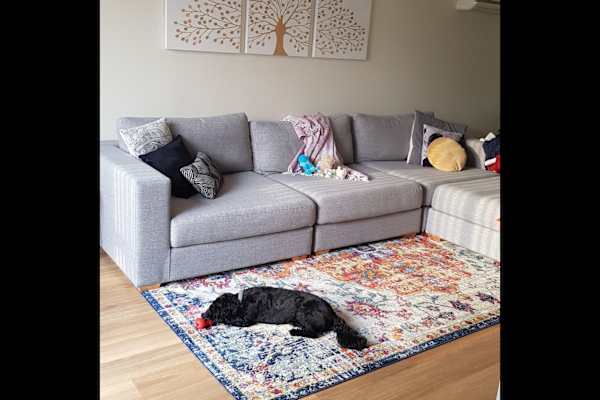 Reidtown, New South Wales, Australia