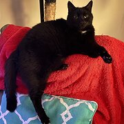 Teralba, New South Wales, Australia