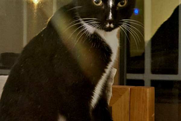 Bathurst, New South Wales, Australia