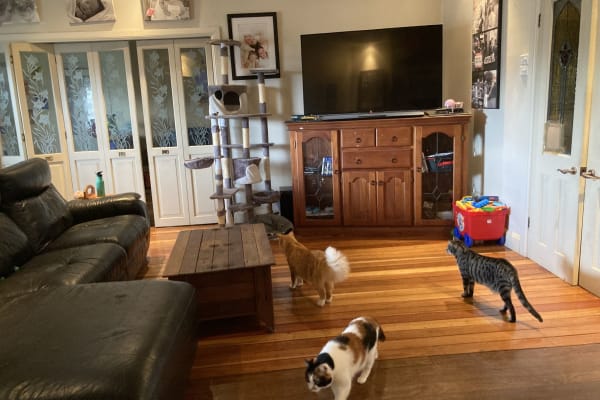 Newcastle, New South Wales, Australia