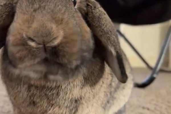 Edison, New Jersey, United States