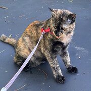 Matraville, New South Wales, Australia