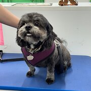 Rushcutters Bay, New South Wales, Australia