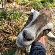 Taranna, Tasmania, Australia