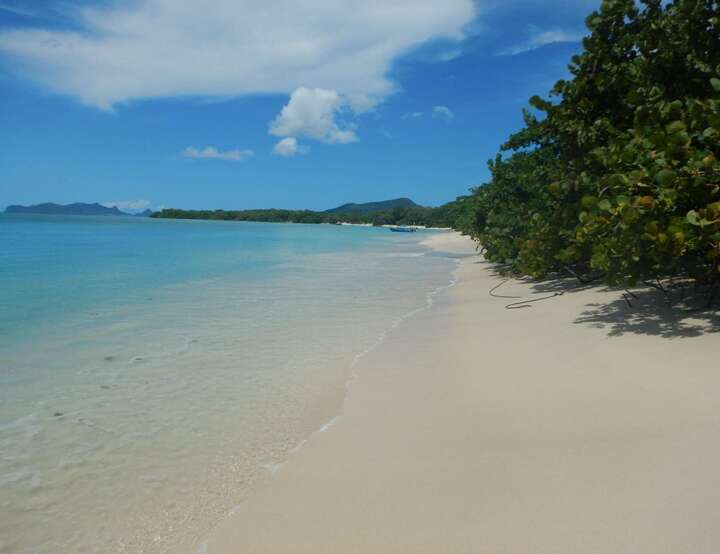 Argyle, Carriacou and Petite Martinique, Caribbean