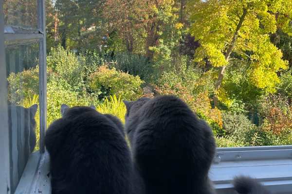 Berlin, Berlin, Germany