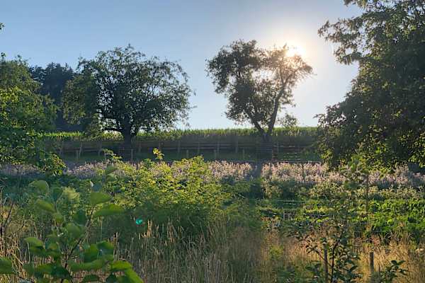 Erding, Bavaria, Germany