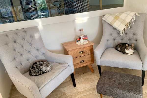 Mainz, Rheinland-Pfalz, Germany