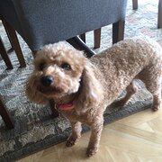 Port Lincoln, South Australia, Australia