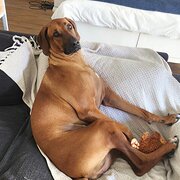 Coolum Beach, Queensland, Australia