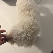 Riverstone, New South Wales, Australia