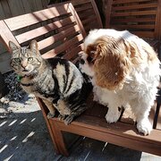 Reservoir, Victoria, Australia