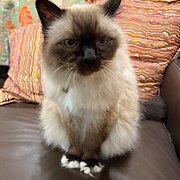 Mudjimba, Queensland, Australia