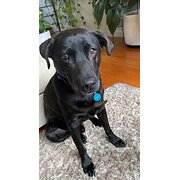 St Kilda, Victoria, Australia