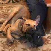 Bassendean, Western Australia, Australia