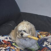 Marcoola, Queensland, Australia