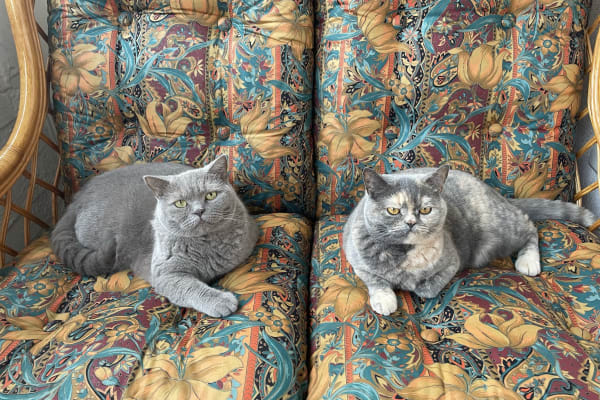 Köln, North Rhine-Westphalia, Germany