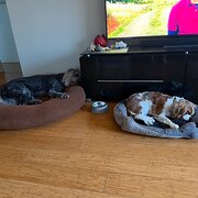 Wurtulla, Queensland, Australia