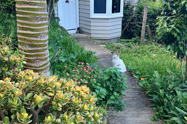 Mount Victoria, Wellington, New Zealand