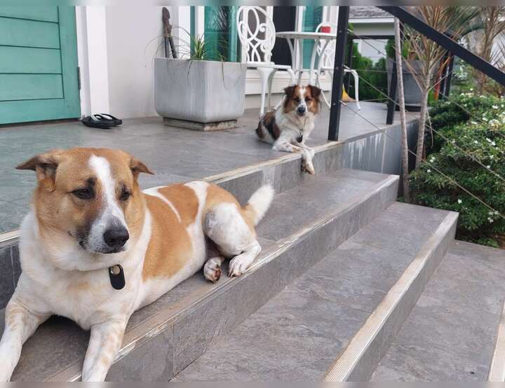 Tambon Khuan Thong, Chang Wat Nakhon Si Thammarat, Thailand