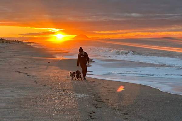 Tauranga, Bay of Plenty, New Zealand