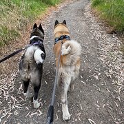 Mccracken, South Australia, Australia