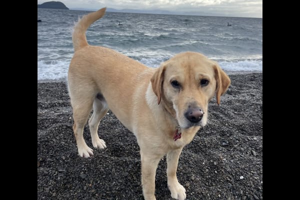 Auckland, Auckland, New Zealand