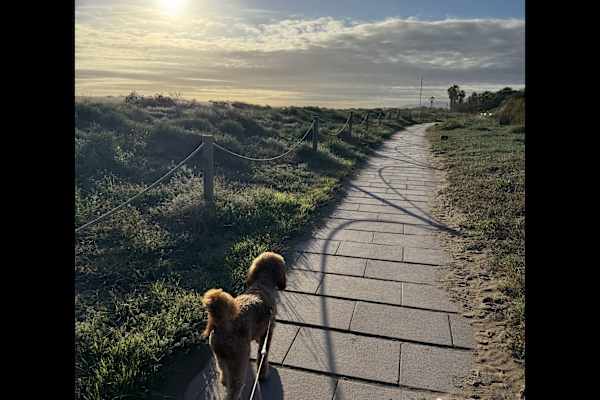 Castelldefels, Catalonia, Spain