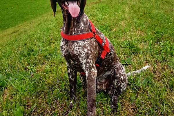 Ljubljana, Ljubljana, Slovenia