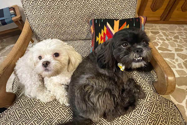 Escazú, San Jose, Costa Rica