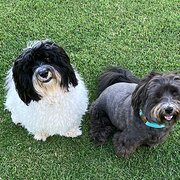 Mindarie, Western Australia, Australia