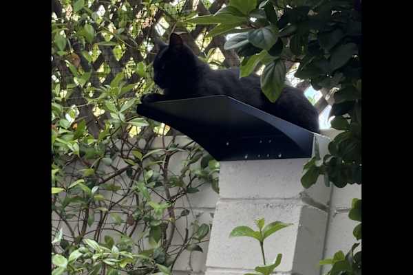 Perth, Western Australia, Australia