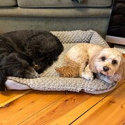 Kingswood, South Australia, Australia