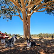 Margaret River, Western Australia, Australia