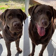 Serpentine, Western Australia, Australia