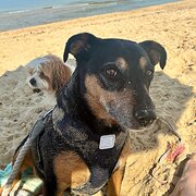 South Melbourne, Victoria, Australia