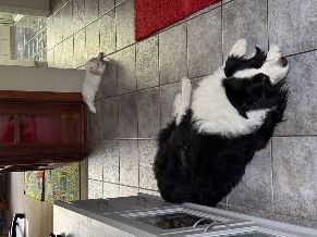 Bibra Lake, South of the River, Perth, SOR, WA Australia