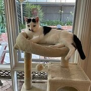 St Arnaud, Victoria, Australia