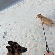 Eglinton, Western Australia, Australia